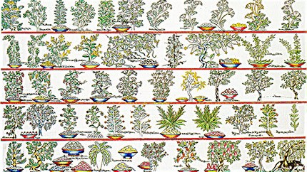 藏藥資源分布、發(fā)展史